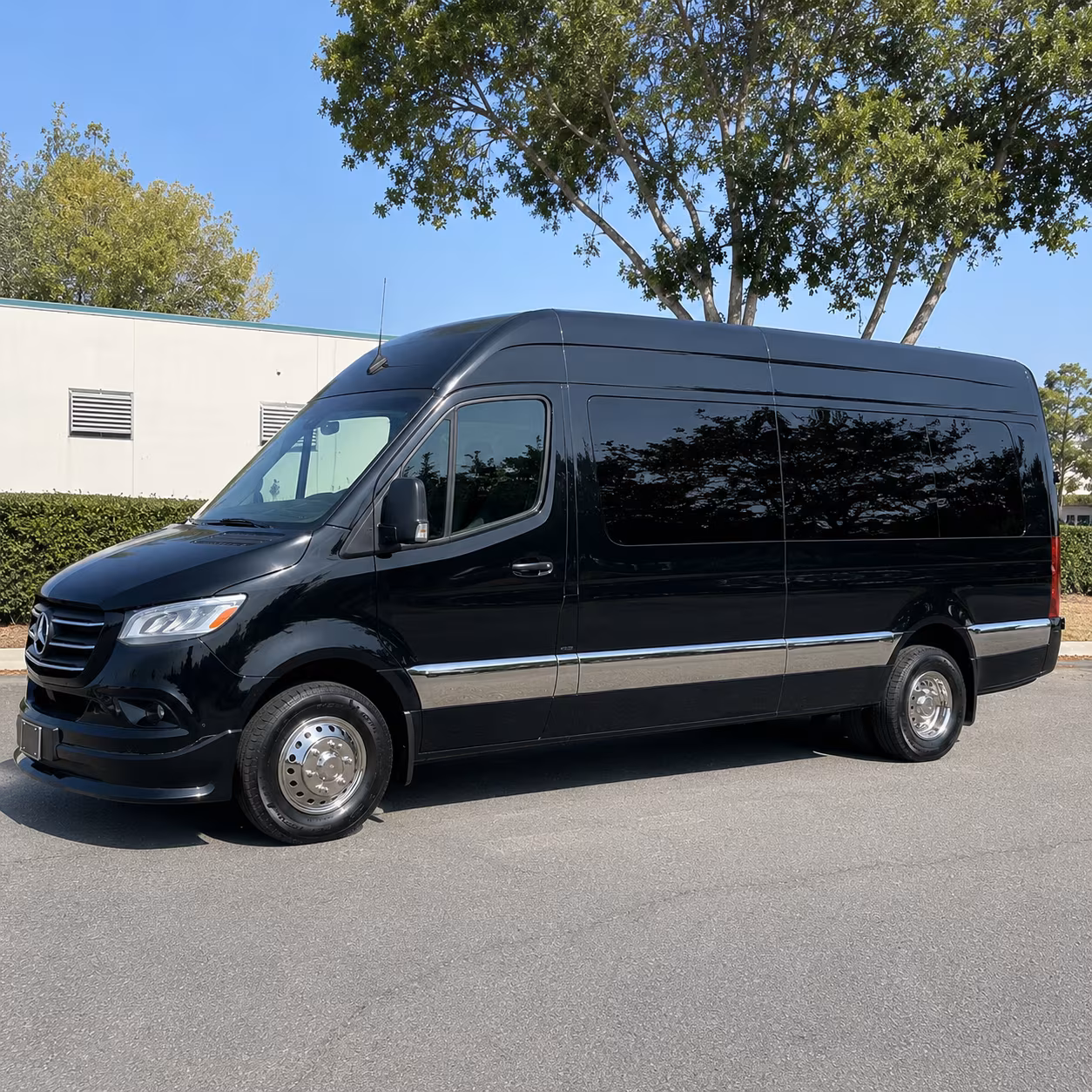 San Leandro Birthday Party Transportation