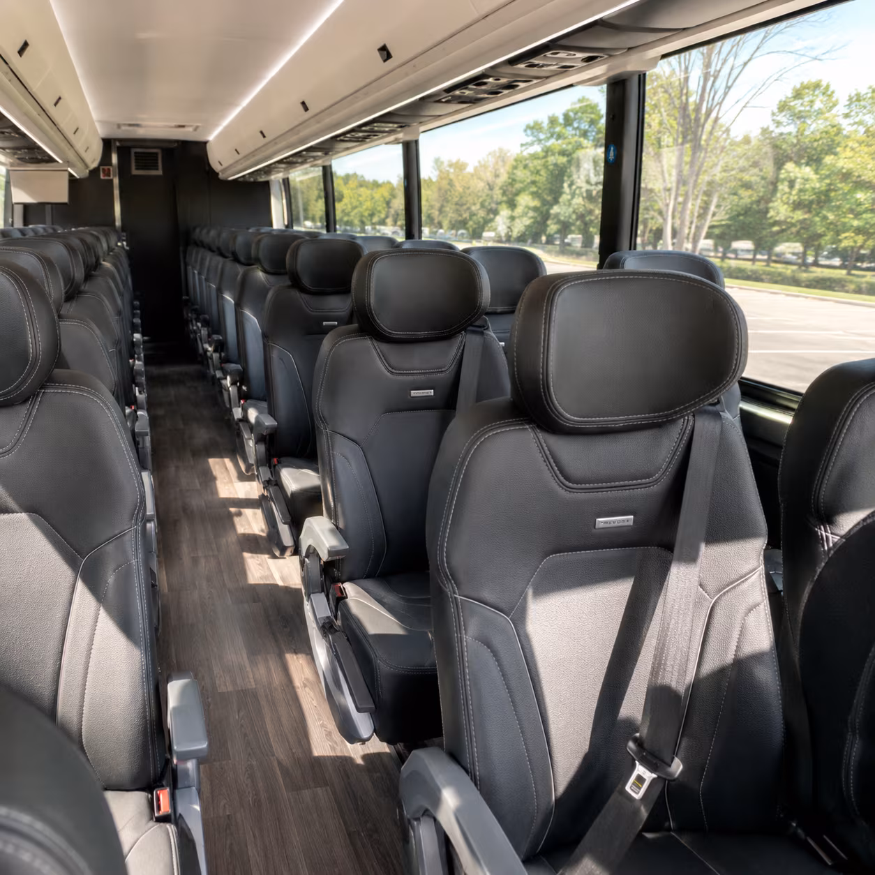 san leandro minibus rentals