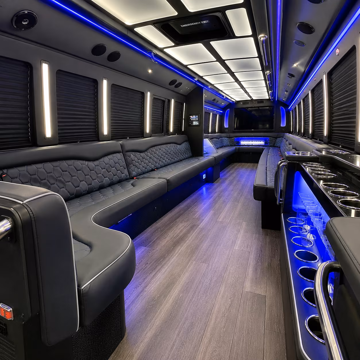 why rent using sanleandrominibuscompany com 2